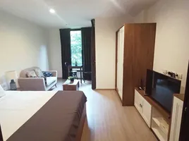 Studio Condo for rent at THE BASE Central Phuket, Wichit, Phuket Town