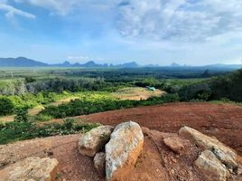  Grundstück zu verkaufen in Takua Thung, Phangnga, Krasom