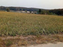  Land for sale in Rayong, Map Yang Phon, Pluak Daeng, Rayong