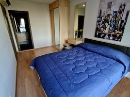 1 Schlafzimmer Wohnung zu verkaufen im Ideo O2, Bang Na, Bang Na, Bangkok