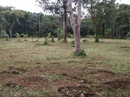  Land for sale in Thalang, Phuket, Si Sunthon, Thalang