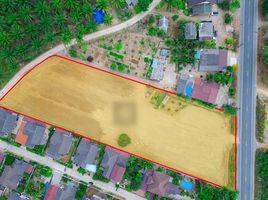  Land for sale in Wang Phong, Pran Buri, Wang Phong