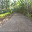  Land for sale in Phuket, Karon, Phuket Town, Phuket