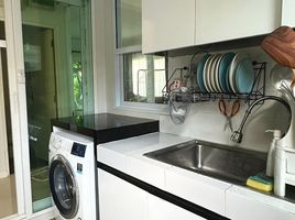 3 Bedroom House for rent at Inizio Chiangmai, San Kamphaeng, San Kamphaeng, Chiang Mai