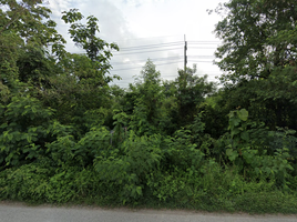  Land for sale in Lampang, Pong Yang Khok, Hang Chat, Lampang