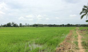N/A Land for sale in Songtham, Kamphaeng Phet 