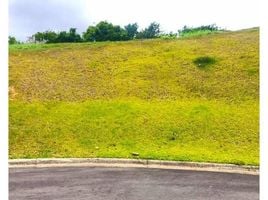  Land for sale in La Union, Cartago, La Union