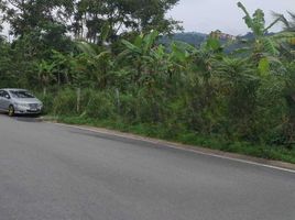  Land for sale in Chalong, Phuket Town, Chalong