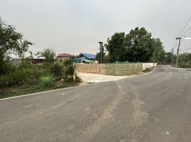  Grundstück zu verkaufen in Mueang Chiang Mai, Chiang Mai, Pa Daet