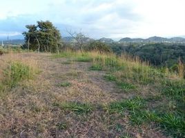  Land for sale in Atenas, Alajuela, Atenas