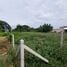  Land for sale in Hua Hin Airport, Hua Hin City, Hua Hin City