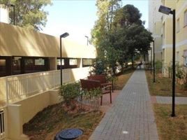 3 Bedroom Apartment for sale at Parque São Lucas, Pesquisar