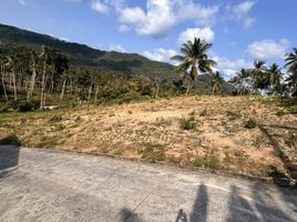  Grundstück zu verkaufen in Koh Samui, Surat Thani, Maret