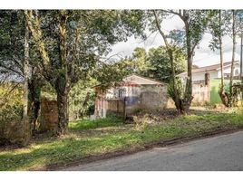  Land for sale in Parana, Santa Felicidade, Curitiba, Parana