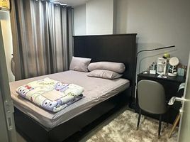 1 Schlafzimmer Wohnung zu vermieten im Mirage Sukhumvit 27, Khlong Toei, Khlong Toei