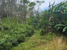  Grundstück zu verkaufen in Takua Thung, Phangnga, Lo Yung