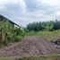  Land for sale in Dau Tieng, Binh Duong, Minh Thanh, Dau Tieng