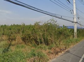 Land for sale in Samut Sakhon, Ban Phaeo, Ban Phaeo, Samut Sakhon