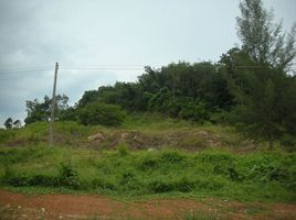 Grundstück zu verkaufen in Ko Lanta, Krabi, Sala Dan
