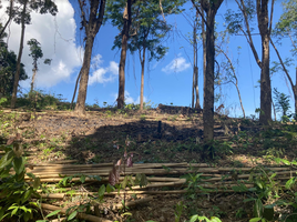  Grundstück zu verkaufen in Thalang, Phuket, Pa Khlok, Thalang