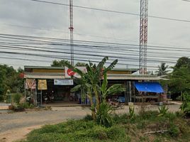 3 Schlafzimmer Shophaus zu verkaufen in Wang Thong, Phitsanulok, Nong Phra, Wang Thong