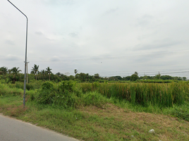  Grundstück zu verkaufen in Mueang Nakhon Pathom, Nakhon Pathom, Bo Phlap