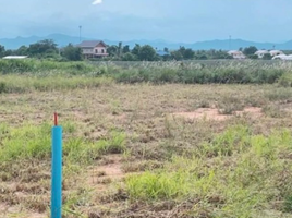  Land for sale in Wang Phong, Pran Buri, Wang Phong