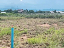  Grundstück zu verkaufen in Pran Buri, Prachuap Khiri Khan, Wang Phong