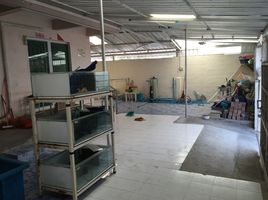 4 Schlafzimmer Reihenhaus zu vermieten im Siam Niwet 1, Nai Khlong Bang Pla Kot