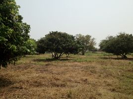  Grundstück zu verkaufen in Mueang Nong Khai, Nong Khai, Hat Kham