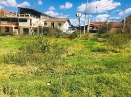  Land for sale in Azuay, Gualaceo, Gualaceo, Azuay