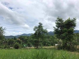  Land for sale in Mae Hong Son, Wiang Nuea, Pai, Mae Hong Son
