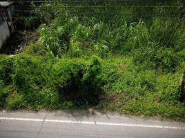  Land for sale in Khlong Yong, Phutthamonthon, Khlong Yong