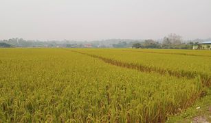 N/A Land for sale in Mae Faek Mai, Chiang Mai 