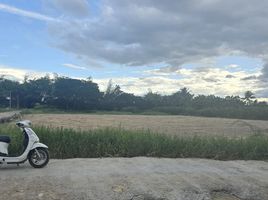  Land for sale in Chiang Mai, Han Kaeo, Hang Dong, Chiang Mai