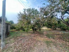  Land for sale in Chiang Mai, Nong Tong, Hang Dong, Chiang Mai