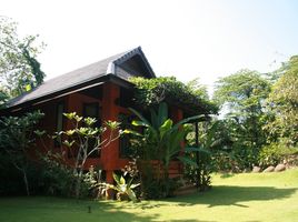 4 Schlafzimmer Haus zu verkaufen in Mueang Chiang Mai, Chiang Mai, Nong Hoi