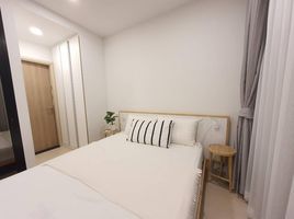 Studio Apartment for rent at Noble Ambience Sukhumvit 42, Phra Khanong, Khlong Toei, Bangkok