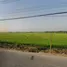  Land for sale in Bang Len Nakhon Pathom, Nara Phirom, Bang Len, Nakhon Pathom
