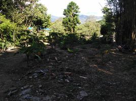  Land for sale in Kad Na Mor, Chang Phueak, Chang Phueak