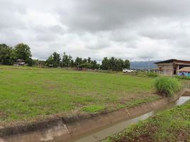  Grundstück zu verkaufen in Pua, Nan, Pua, Pua
