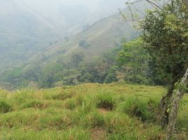  Grundstück zu verkaufen in Olanchito, Yoro, Olanchito, Yoro, Honduras