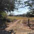  Land for sale in Guanacaste, Hojancha, Guanacaste