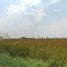  Land for sale in Airport Rail Link Station, Bangkok, Lat Krabang, Lat Krabang, Bangkok