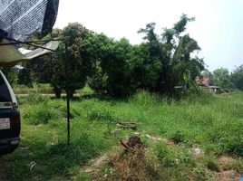  Grundstück zu verkaufen in Taphan Hin, Phichit, Ngio Rai, Taphan Hin