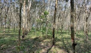 N/A Land for sale in Tha Chang, Songkhla 