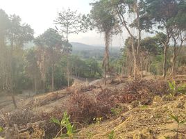  Land for sale in Phuket Town, Phuket, Ko Kaeo, Phuket Town