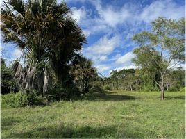  Land for sale in Thalang, Phuket, Thep Krasattri