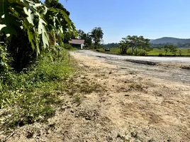  Земельный участок for sale in Дои Сакет Чианг Маи, Choeng Doi
