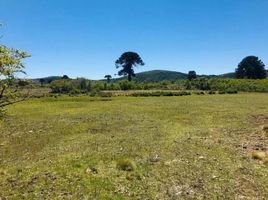  Land for sale in Lonquimay, Malleco, Lonquimay